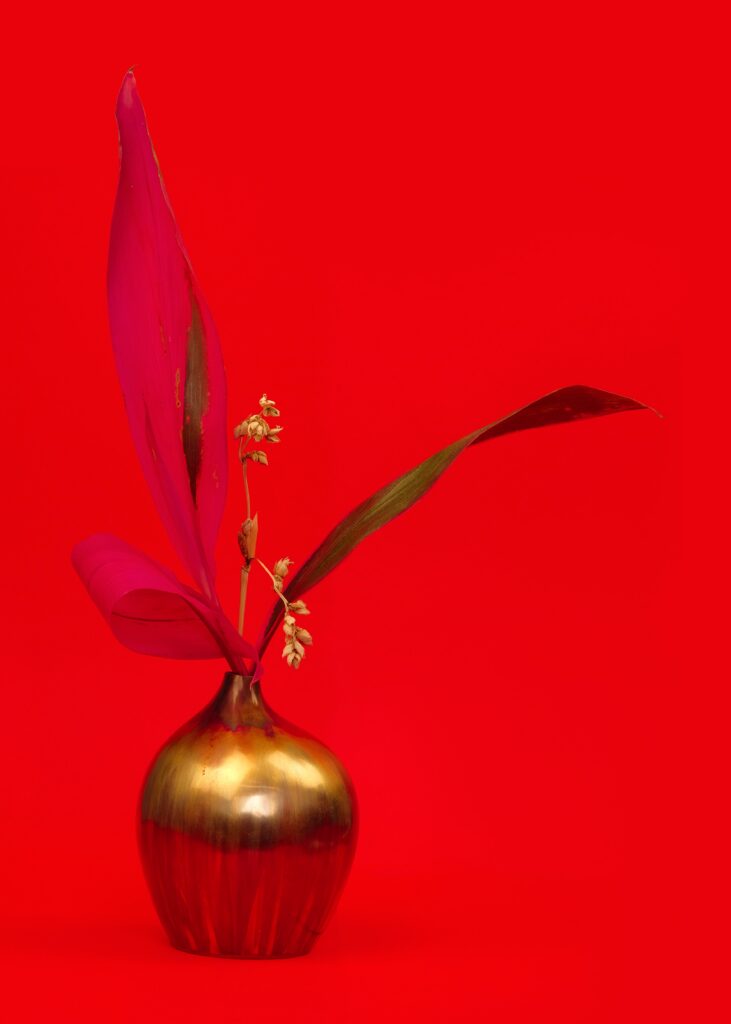 Beautiful vase red